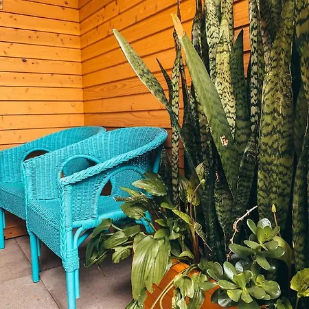 Porto Pim Bay Horta (Azores)