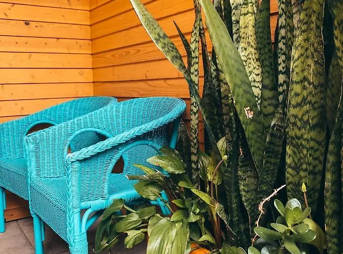 Porto Pim Bay Horta (Azores)